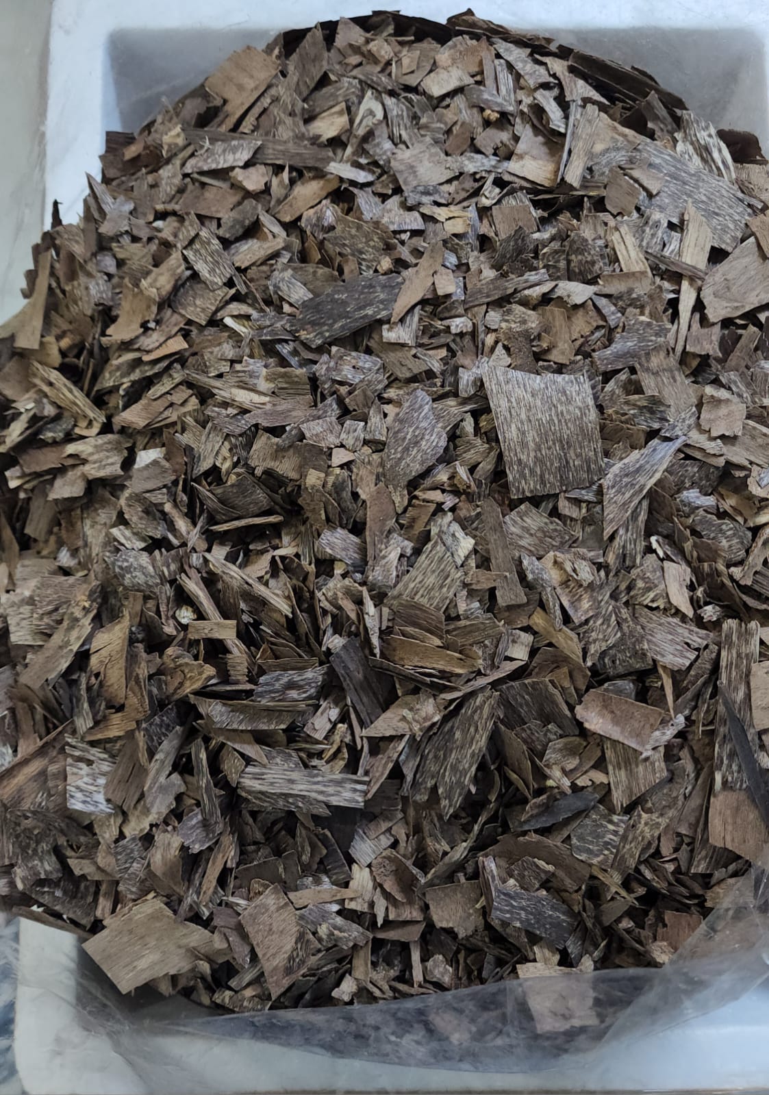 WhatsApp Image 2025-12-02 at 23.04.04